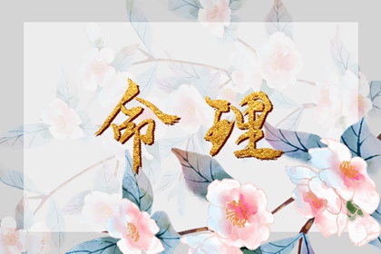 择吉老黄历 择吉黄历每日宜忌 择吉日历